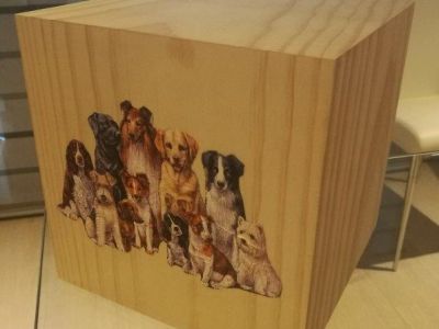 urna cubo grezza con cagnolini